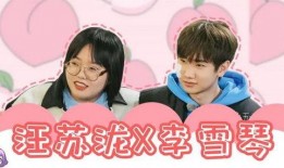 明星爆料刘大锤视频大全,揭秘娱乐圈幕后真相