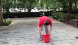 王四老婆爆料视频播放,揭秘背后惊人真相