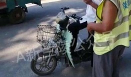 平安大爷的最新爆料,最新爆料背后的惊人真相